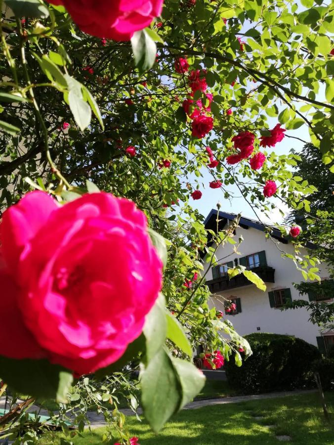 Fruehstueckspension Helmhof Salzburg Bagian luar foto